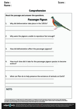 free year 7 english worksheets